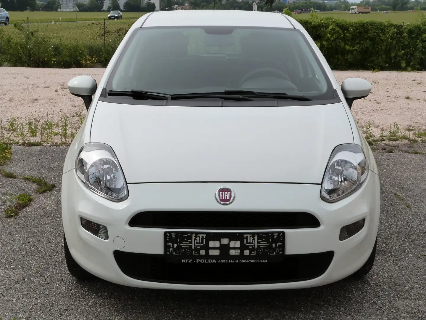 Fiat Punto Pop Blanc - 2