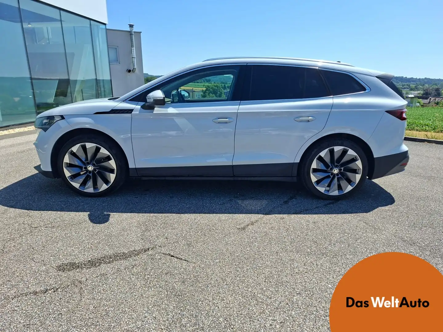 Skoda Enyaq 80 Blanc - 1