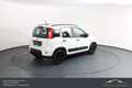 Fiat Panda FireFly Hybrid 70*Winterpaket*Einparkhilfe!!! Weiß - thumbnail 7