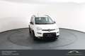 Fiat Panda FireFly Hybrid 70*Winterpaket*Einparkhilfe!!! Weiß - thumbnail 3