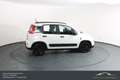 Fiat Panda FireFly Hybrid 70*Winterpaket*Einparkhilfe!!! Weiß - thumbnail 6