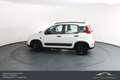 Fiat Panda FireFly Hybrid 70*Winterpaket*Einparkhilfe!!! Weiß - thumbnail 11