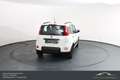 Fiat Panda FireFly Hybrid 70*Winterpaket*Einparkhilfe!!! Weiß - thumbnail 8