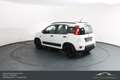 Fiat Panda FireFly Hybrid 70*Winterpaket*Einparkhilfe!!! Weiß - thumbnail 10