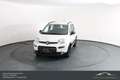 Fiat Panda FireFly Hybrid 70*Winterpaket*Einparkhilfe!!! Weiß - thumbnail 2