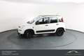 Fiat Panda FireFly Hybrid 70*Winterpaket*Einparkhilfe!!! Weiß - thumbnail 12
