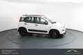 Fiat Panda FireFly Hybrid 70*Winterpaket*Einparkhilfe!!! Weiß - thumbnail 5