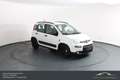 Fiat Panda FireFly Hybrid 70*Winterpaket*Einparkhilfe!!! Weiß - thumbnail 4