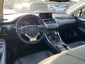 Lexus NX 300 2.5 Premium CVT 4WD Bianco - thumbnail 5
