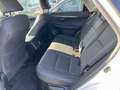 Lexus NX 300 2.5 Premium CVT 4WD Bianco - thumbnail 11