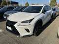 Lexus NX 300 2.5 Premium CVT 4WD Bianco - thumbnail 1