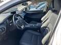 Lexus NX 300 2.5 Premium CVT 4WD Bianco - thumbnail 10