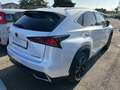 Lexus NX 300 2.5 Premium CVT 4WD Bianco - thumbnail 4