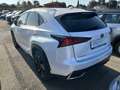 Lexus NX 300 2.5 Premium CVT 4WD Bianco - thumbnail 2