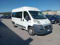 Fiat Ducato 2.3MJET 120CV 9POSTI PM-TM DISABILI Bianco - thumbnail 7