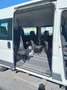 Fiat Ducato 2.3MJET 120CV 9POSTI PM-TM DISABILI Bianco - thumbnail 15