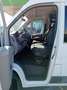 Fiat Ducato 2.3MJET 120CV 9POSTI PM-TM DISABILI Bianco - thumbnail 9
