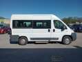 Fiat Ducato 2.3MJET 120CV 9POSTI PM-TM DISABILI Bianco - thumbnail 6