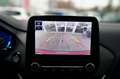 Ford Puma ST-Line X LED Panorama Kamera el Heckklappe Rouge - thumbnail 15