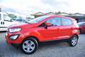 Ford EcoSport 1.0EcoB. 100CV ANDROID NAVI-CRUISE-BT-ADAS-OK NEOP Rosso - thumbnail 6