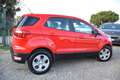 Ford EcoSport 1.0EcoB. 100CV ANDROID NAVI-CRUISE-BT-ADAS-OK NEOP Rojo - thumbnail 8