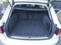Audi A4 Avant 2.0 tdi multitronic Fap - thumbnail 14