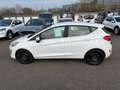 Ford Fiesta Titanium Automatik+Winter-P.+B&O+Navi+LED Weiß - thumbnail 3