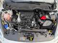 Ford Fiesta Titanium Automatik+Winter-P.+B&O+Navi+LED Weiß - thumbnail 19
