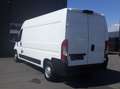 Citroen Jumper Stock ID 50910 Biały - thumbnail 7