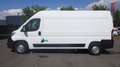 Citroen Jumper Stock ID 50910 Biały - thumbnail 4