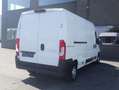 Citroen Jumper Stock ID 50910 Biały - thumbnail 8