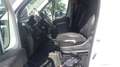 Citroen Jumper Stock ID 50910 Biały - thumbnail 14