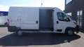 Citroen Jumper Stock ID 50910 Biały - thumbnail 6