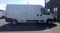 Citroen Jumper Stock ID 50910 Biały - thumbnail 5