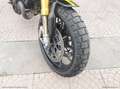 Ducati Scrambler Scrambler 1100 RATE AUTO MOTO SCOOTER Negro - thumbnail 21