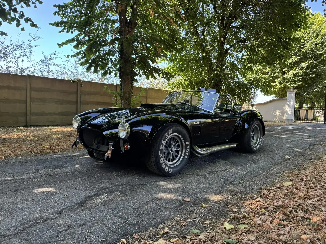 AC Cobra, ERA 1991 / 427 side oiler. Carte grise,, foto 8