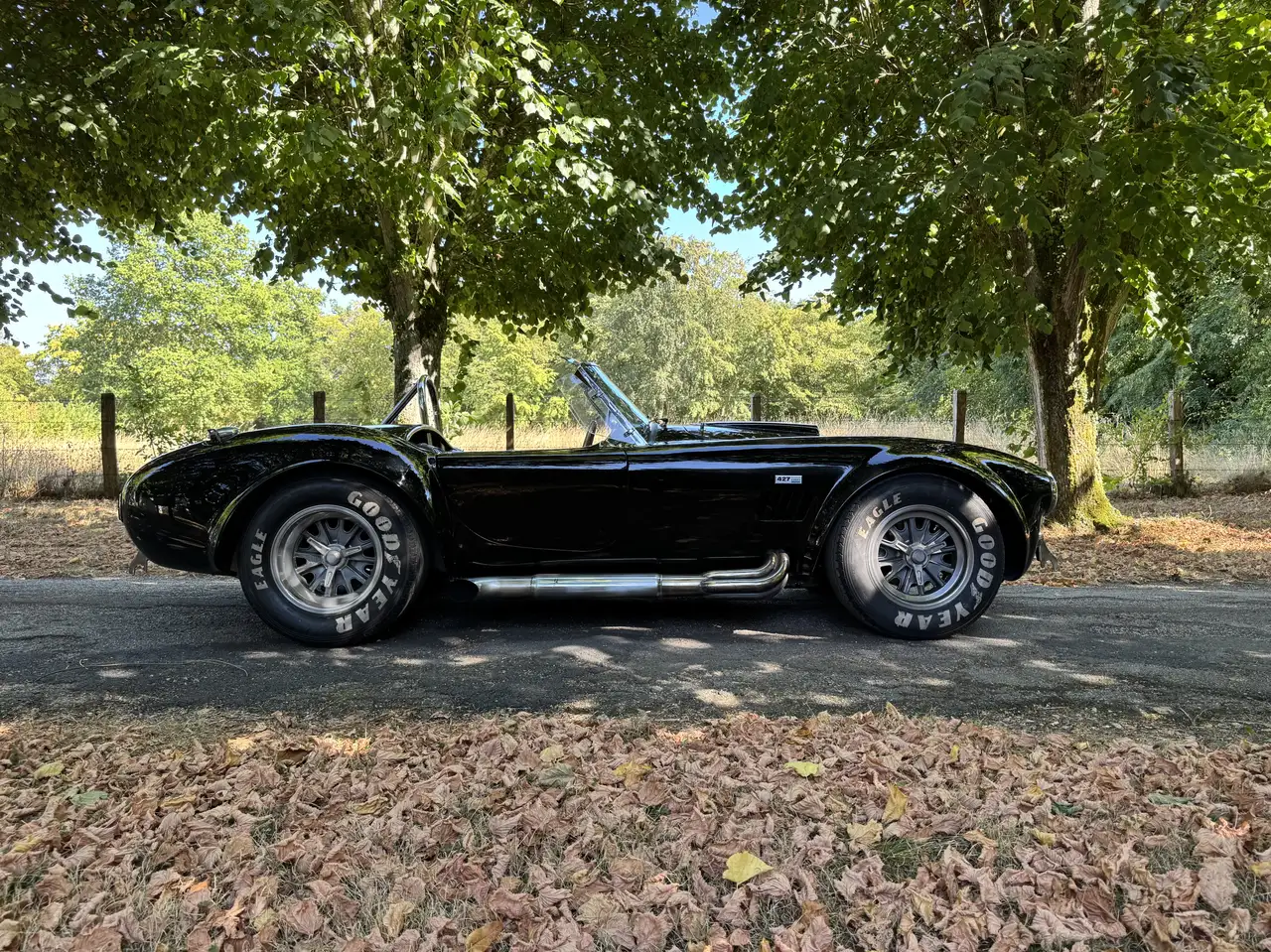 AC Cobra, ERA 1991 / 427 side oiler. Carte grise,, foto 12