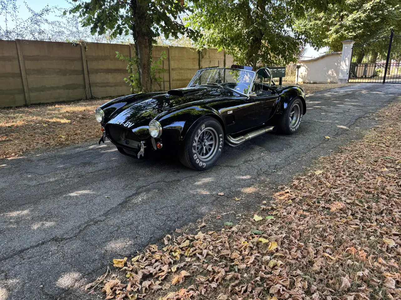 AC Cobra, ERA 1991 / 427 side oiler. Carte grise,, foto 7