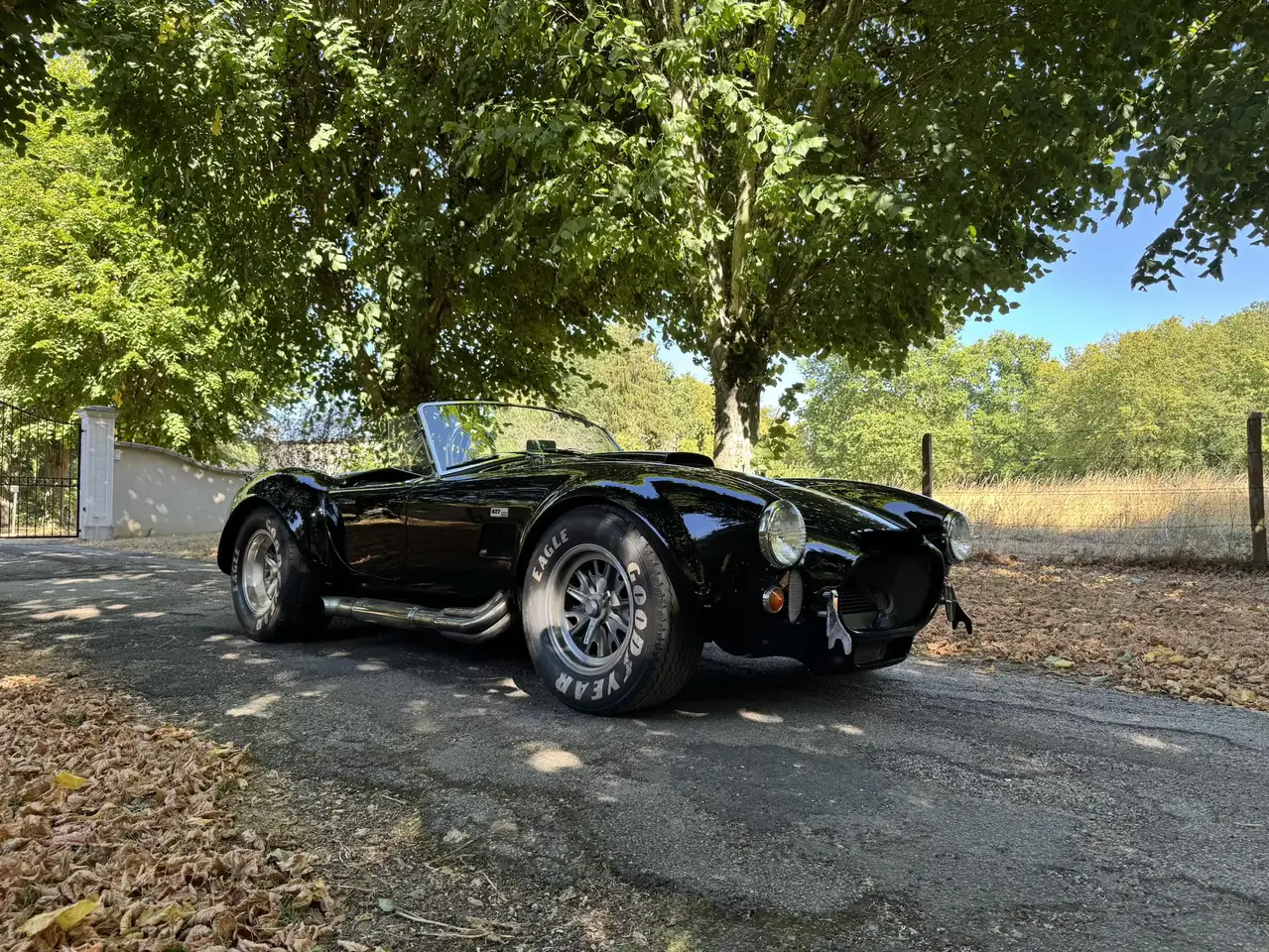 AC Cobra, ERA 1991 / 427 side oiler. Carte grise,, foto 10