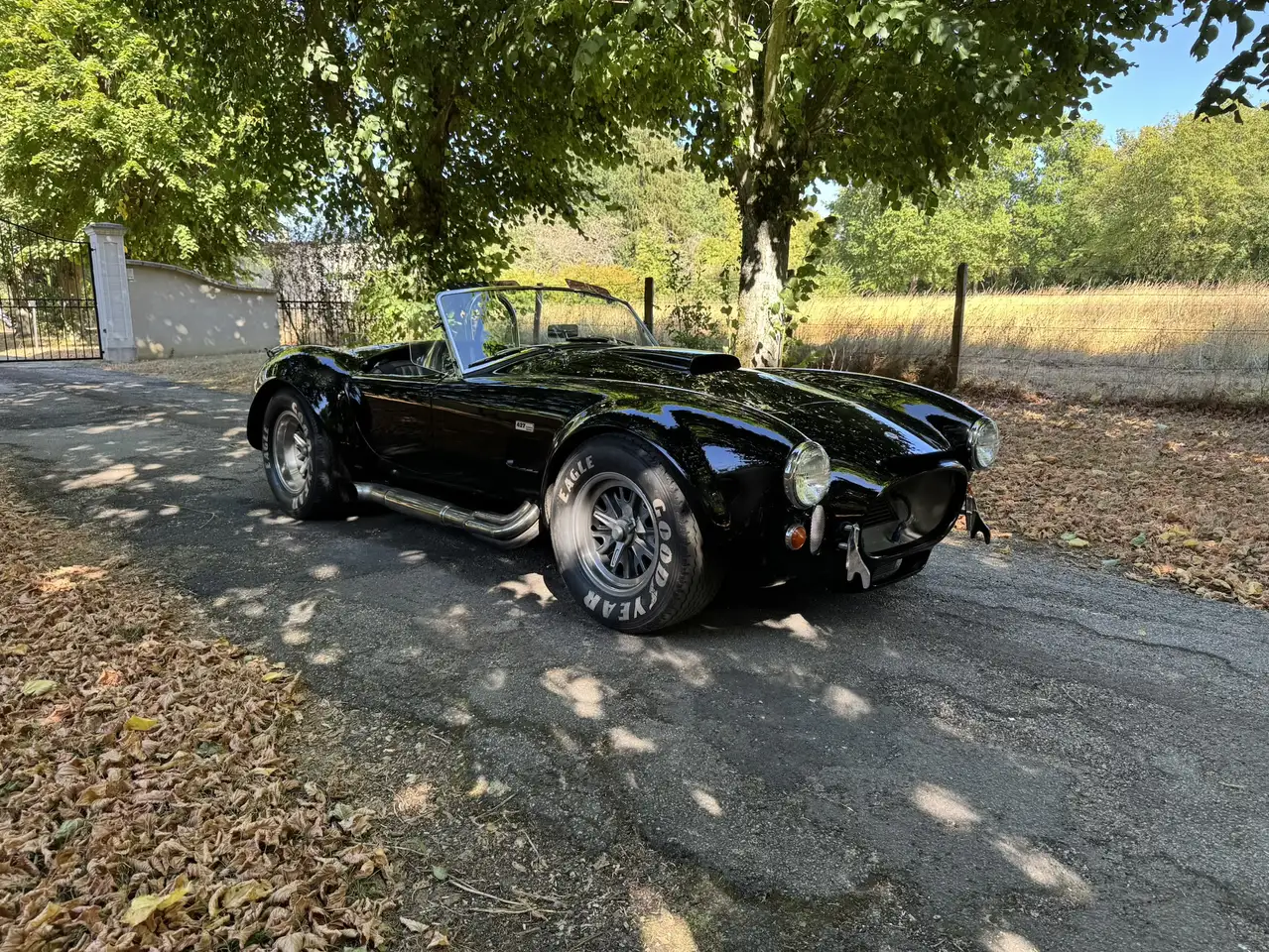 AC Cobra, ERA 1991 / 427 side oiler. Carte grise,, foto 11