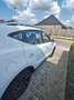MG ZS ZS ICE 1.5 VTI-tech Luxury Wit - thumbnail 8