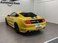 Ford Mustang MUSTANG 2.3 ECOBOOST - 50 YEARS MIT SHELBY LOOK! Jaune - thumbnail 5