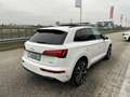 Audi Q5 40 TDI quattro S-line S-tronic/3xS-LINE/PANO/SH... Weiß - thumbnail 8