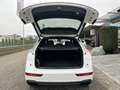 Audi Q5 40 TDI quattro S-line S-tronic/3xS-LINE/PANO/SH... Weiß - thumbnail 20