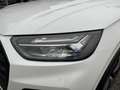Audi Q5 40 TDI quattro S-line S-tronic/3xS-LINE/PANO/SH... Weiß - thumbnail 12