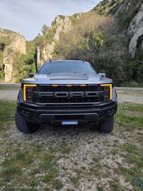 Raptor