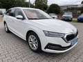 Skoda Octavia Combi Style 1.5 TGI DSG CNG Erdgas Head up ACC AHK Blanc - thumbnail 15