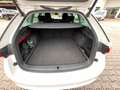 Skoda Octavia Combi Style 1.5 TGI DSG CNG Erdgas Head up ACC AHK Blanc - thumbnail 7