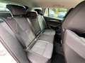Skoda Octavia Combi Style 1.5 TGI DSG CNG Erdgas Head up ACC AHK Blanc - thumbnail 6