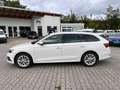 Skoda Octavia Combi Style 1.5 TGI DSG CNG Erdgas Head up ACC AHK Blanc - thumbnail 17